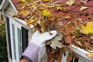 Francisco Roofing Services